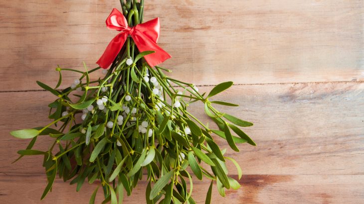 Mistletoe Bunch with Silk ribbon