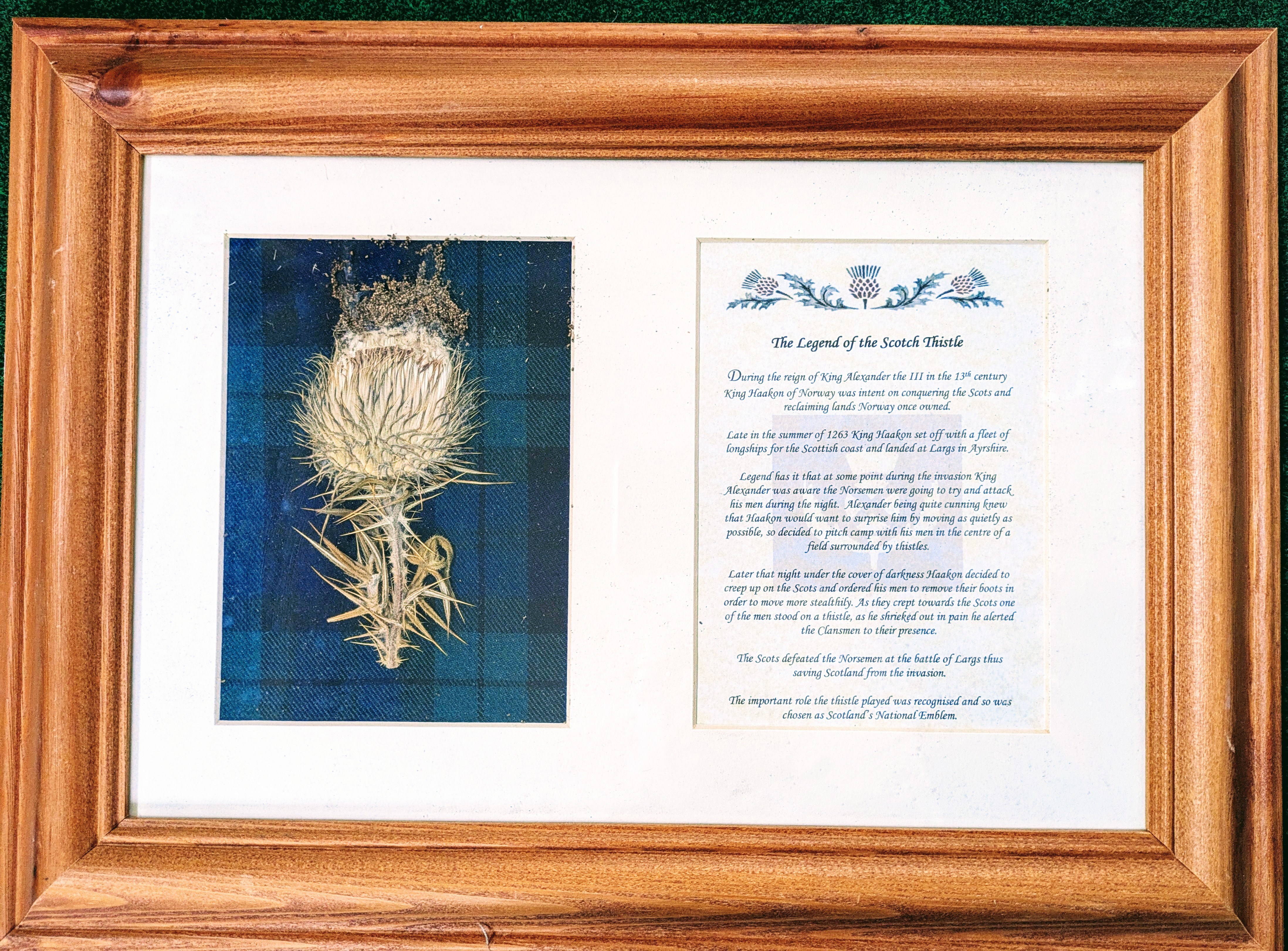 Thistle Print